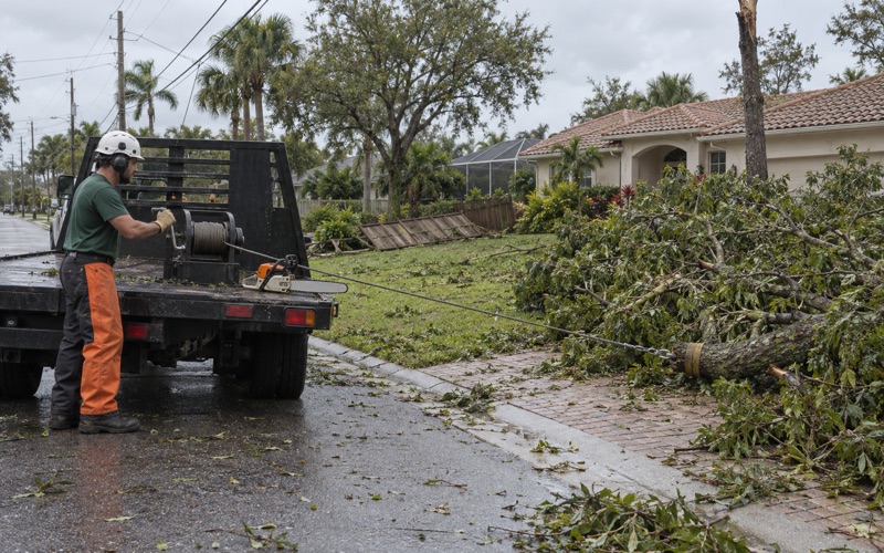 Worker at a truck winch drum drawing a storm-broken laurel oak top clear of a Fort Myers drive.